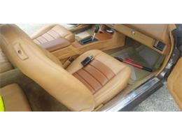 1980 Chevrolet Camaro (CC-2110537) for sale in Cadillac, Michigan