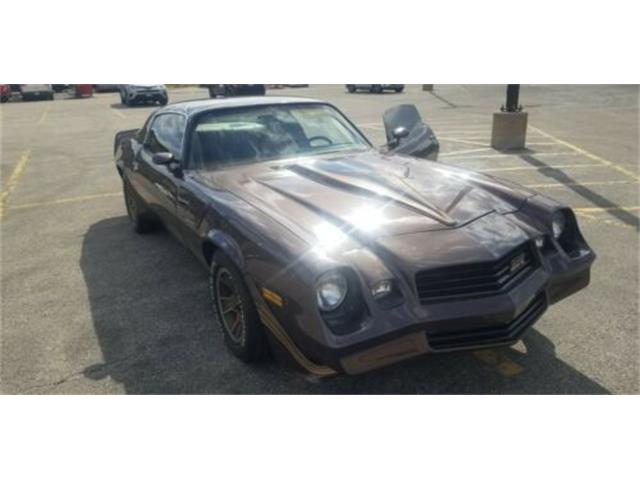 1980 Chevrolet Camaro (CC-2110537) for sale in Cadillac, Michigan