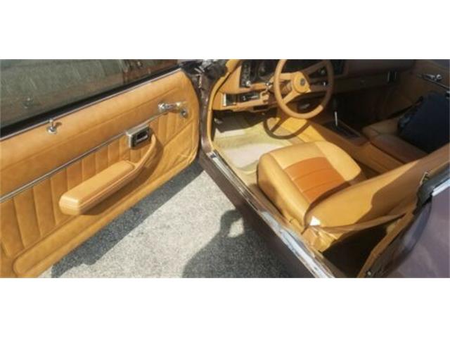 1980 Chevrolet Camaro (CC-2110537) for sale in Cadillac, Michigan
