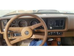 1980 Chevrolet Camaro (CC-2110537) for sale in Cadillac, Michigan