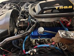1979 Pontiac Firebird (CC-2115380) for sale in Bradenton, Florida