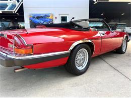 1991 Jaguar XJ (CC-2115382) for sale in Bradenton, Florida
