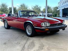1991 Jaguar XJ (CC-2115382) for sale in Bradenton, Florida