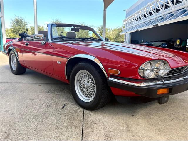 1991 Jaguar XJ (CC-2115382) for sale in Bradenton, Florida