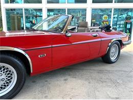 1991 Jaguar XJ (CC-2115382) for sale in Bradenton, Florida