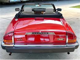1991 Jaguar XJ (CC-2115382) for sale in Bradenton, Florida