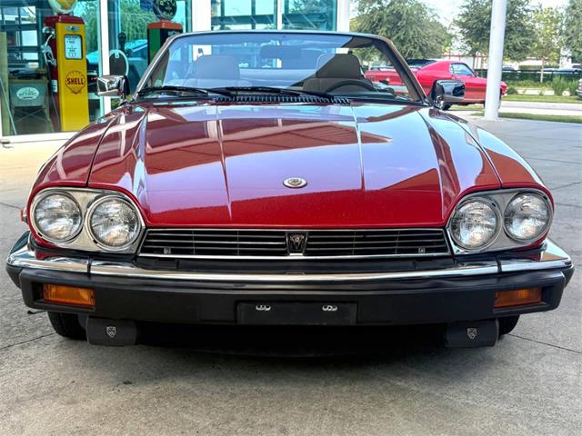 1991 Jaguar XJ (CC-2115382) for sale in Bradenton, Florida