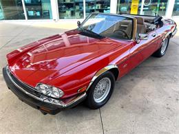1991 Jaguar XJ (CC-2115382) for sale in Bradenton, Florida