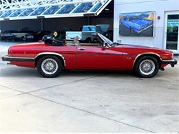 1991 Jaguar XJ (CC-2115382) for sale in Bradenton, Florida