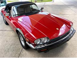 1991 Jaguar XJ (CC-2115382) for sale in Bradenton, Florida