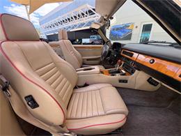 1991 Jaguar XJ (CC-2115382) for sale in Bradenton, Florida