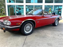 1991 Jaguar XJ (CC-2115382) for sale in Bradenton, Florida