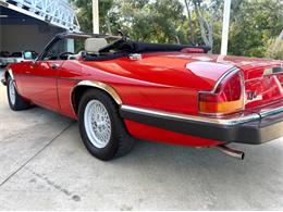1991 Jaguar XJ (CC-2115382) for sale in Bradenton, Florida