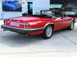 1991 Jaguar XJ (CC-2115382) for sale in Bradenton, Florida