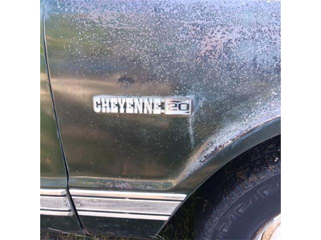 1972 Chevrolet C20 (CC-2115414) for sale in Cadillac, Michigan