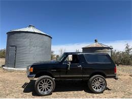 1987 Ford Bronco (CC-2115417) for sale in Cadillac, Michigan