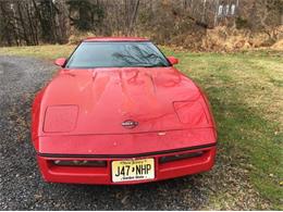 1984 Chevrolet Corvette (CC-2110542) for sale in Cadillac, Michigan