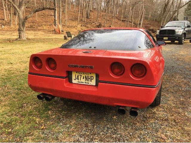 1984 Chevrolet Corvette (CC-2110542) for sale in Cadillac, Michigan