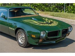 1973 Pontiac Firebird Trans Am (CC-2115433) for sale in Greensboro, North Carolina