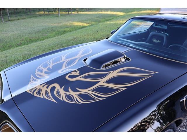 1977 Pontiac Firebird (CC-2115437) for sale in Greensboro, North Carolina