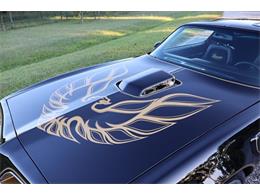 1977 Pontiac Firebird (CC-2115437) for sale in Greensboro, North Carolina