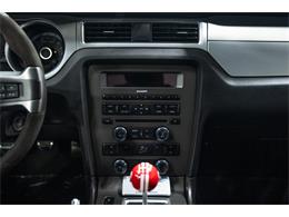 2013 Ford Shelby GT500  (CC-2115491) for sale in Bristol, Pennsylvania