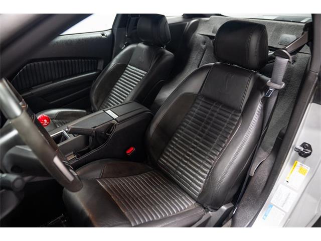2013 Ford Shelby GT500  (CC-2115491) for sale in Bristol, Pennsylvania