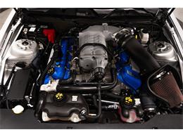 2013 Ford Shelby GT500  (CC-2115491) for sale in Bristol, Pennsylvania