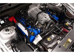 2013 Ford Shelby GT500  (CC-2115491) for sale in Bristol, Pennsylvania