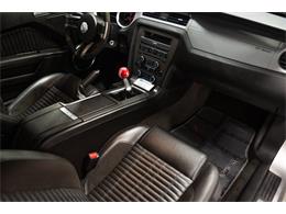 2013 Ford Shelby GT500  (CC-2115491) for sale in Bristol, Pennsylvania