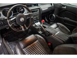 2013 Ford Shelby GT500  (CC-2115491) for sale in Bristol, Pennsylvania