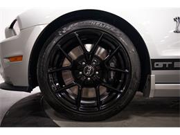 2013 Ford Shelby GT500  (CC-2115491) for sale in Bristol, Pennsylvania