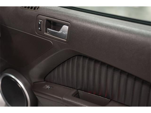 2013 Ford Shelby GT500  (CC-2115491) for sale in Bristol, Pennsylvania