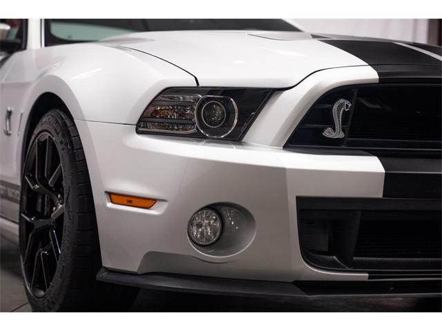 2013 Ford Shelby GT500  (CC-2115491) for sale in Bristol, Pennsylvania