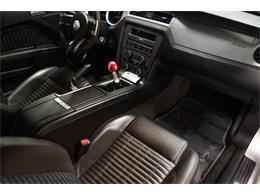 2013 Ford Shelby GT500  (CC-2115491) for sale in Bristol, Pennsylvania