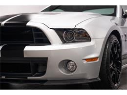 2013 Ford Shelby GT500  (CC-2115491) for sale in Bristol, Pennsylvania