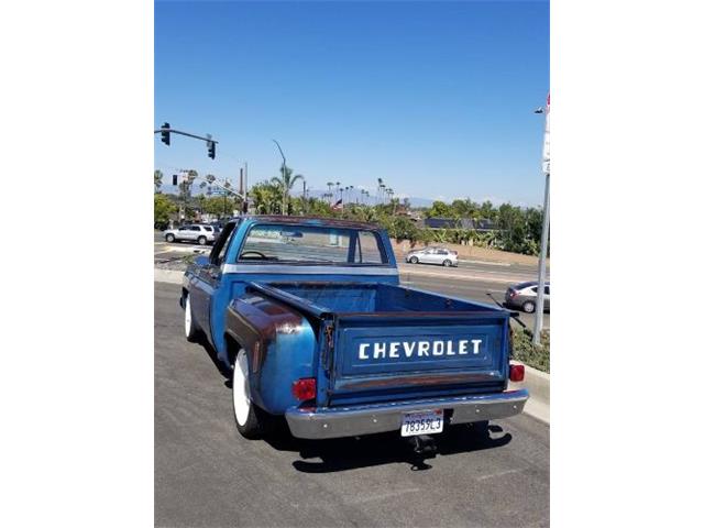 1975 Chevrolet C10 (CC-2110550) for sale in Cadillac, Michigan