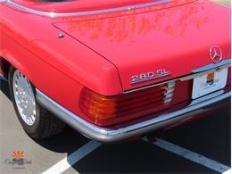 1984 Mercedes-Benz 280SL (CC-2115504) for sale in Mesa, Arizona