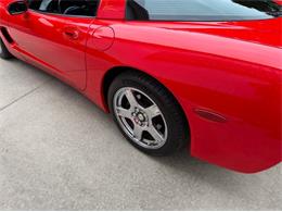1999 Chevrolet Corvette (CC-2115505) for sale in Newfield, New Jersey