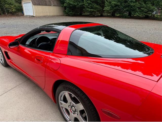 1999 Chevrolet Corvette (CC-2115505) for sale in Newfield, New Jersey