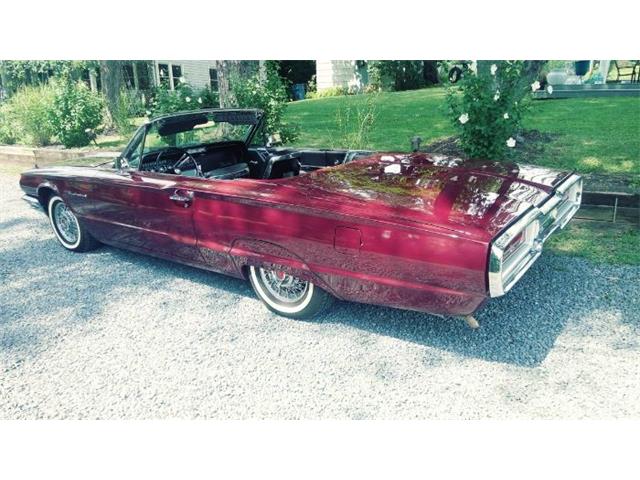 1964 Ford Thunderbird (CC-2110551) for sale in Cadillac, Michigan