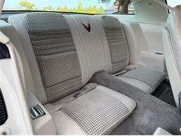 1980 Pontiac Firebird Trans Am Pace Car (CC-2115519) for sale in Lincoln, Nebraska
