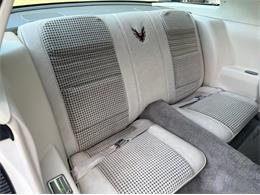 1980 Pontiac Firebird Trans Am Pace Car (CC-2115519) for sale in Lincoln, Nebraska