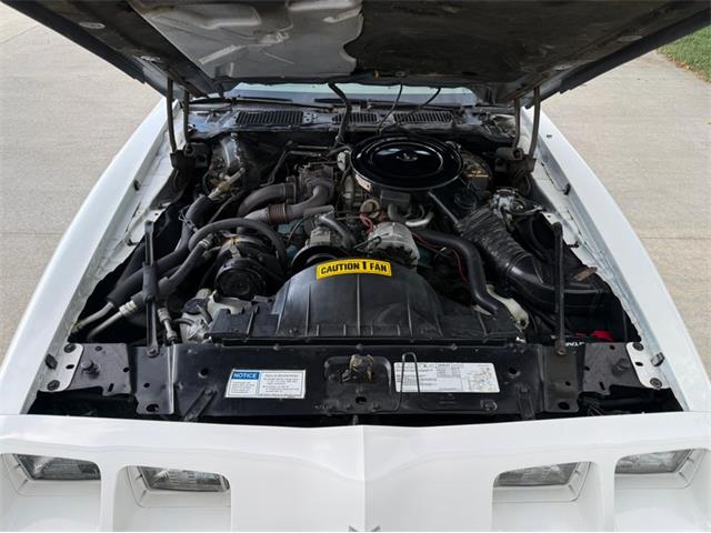 1980 Pontiac Firebird Trans Am Pace Car (CC-2115519) for sale in Lincoln, Nebraska