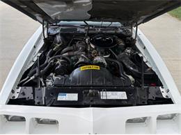 1980 Pontiac Firebird Trans Am Pace Car (CC-2115519) for sale in Lincoln, Nebraska