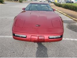 1995 Chevrolet Corvette (CC-2110552) for sale in Cadillac, Michigan