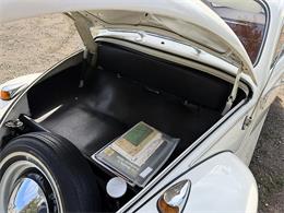 1964 Volkswagen Beetle (CC-2115524) for sale in Gladstone, Oregon