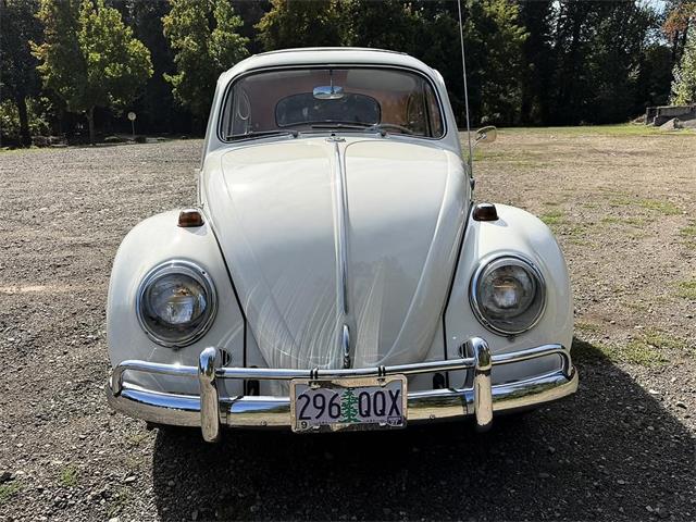 1964 Volkswagen Beetle (CC-2115524) for sale in Gladstone, Oregon