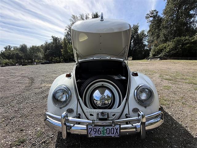 1964 Volkswagen Beetle (CC-2115524) for sale in Gladstone, Oregon