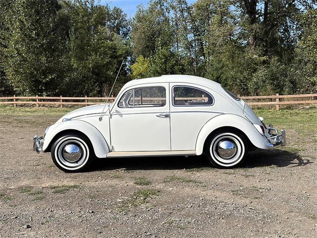 1964 Volkswagen Beetle (CC-2115524) for sale in Gladstone, Oregon
